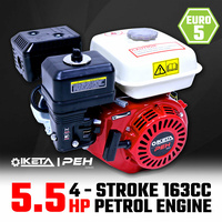 5.5HP OHV Petrol Engine Stationary Motor Horizontal Shaft Recoil Start