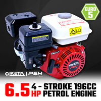 6.5HP OHV Petrol Engine Stationary Motor Horizontal Shaft Recoil Start
